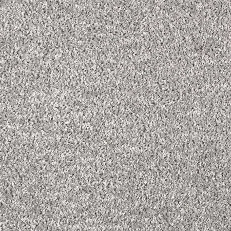 Ковровое покрытие AW Kiama 97 - (5м) в Дзержинске