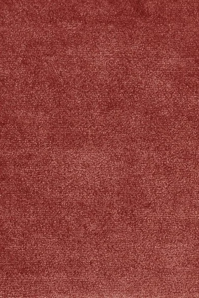 Ковровое покрытие AW Omphale 10 - (5м) в Дзержинске