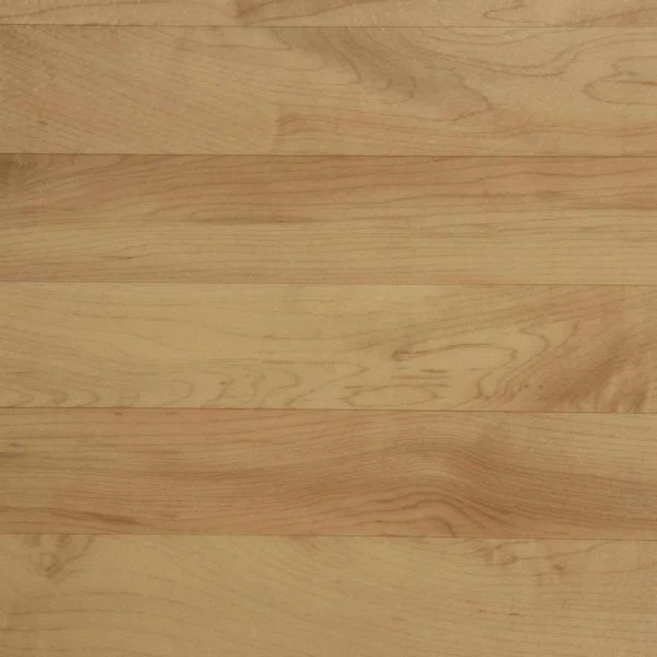 Спортивный линолеум Tarkett Omnisports Action 65 Cold Beech в Дзержинске