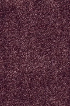 Ковровое покрытие AW Fedone 19 - (5м) в Дзержинске