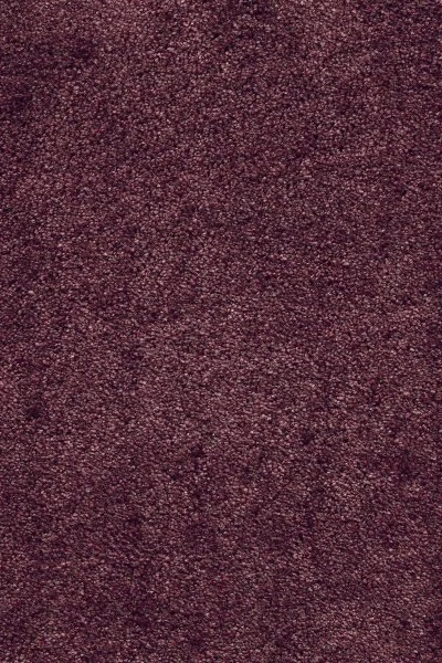 Ковровое покрытие AW Fedone 19 - (5м) в Дзержинске