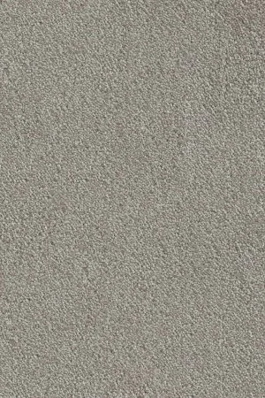 Ковровое покрытие AW Messalina 9 - (5м) в Дзержинске