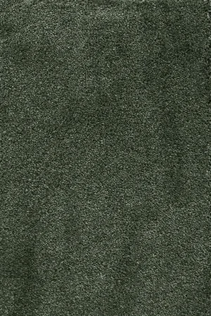 Ковровое покрытие AW Fedone 24 - (5м) в Дзержинске