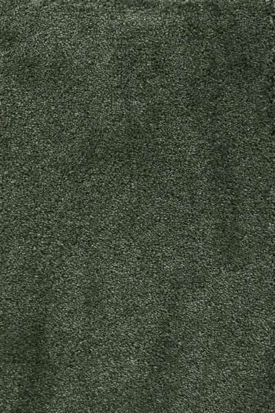 Ковровое покрытие AW Fedone 24 - (5м) в Дзержинске