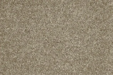 Ковровое покрытие AW Gala 33 - (4м) в Дзержинске