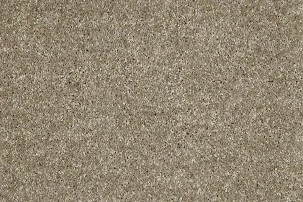 Ковровое покрытие AW Gala 33 - (4м) в Дзержинске