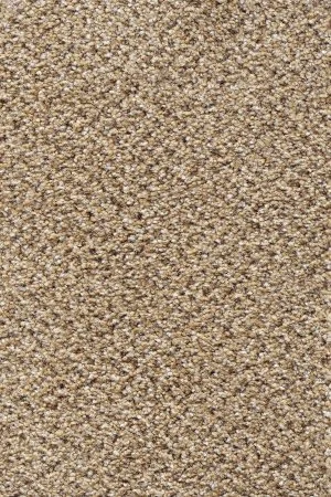 Ковровое покрытие AW Stainaway Tweed 50 - (4м) в Дзержинске