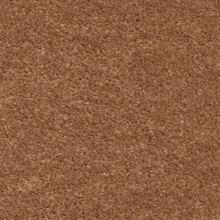 Ковровое покрытие AW Euphoria 84 - (5м) в Дзержинске