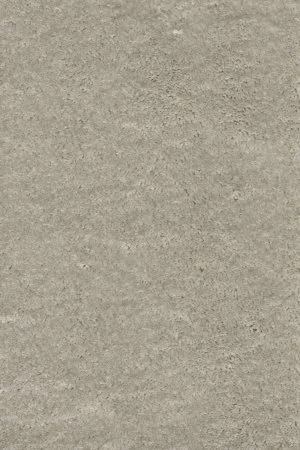 Ковровое покрытие AW Fedone 90 - (4м) в Дзержинске