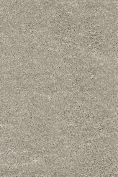 Ковровое покрытие AW Fedone 90 - (4м) в Дзержинске