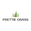 Искусственная трава Prettie Grass купить в Дзержинске по выгодной цене Искусственная трава Prettie Grass в Дзержинске