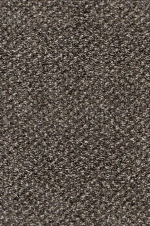 Ковровое покрытие AW Stainaway Tweed 96 - (4м) в Дзержинске