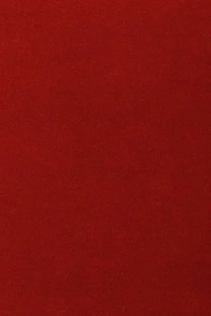 Ковровое покрытие AW Oinone 10 - (4м) в Дзержинске