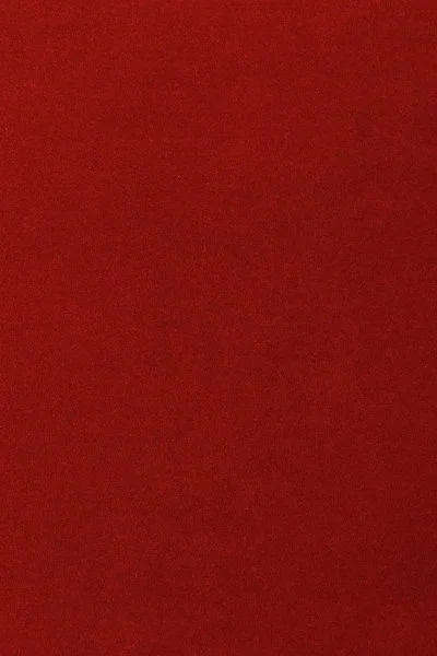 Ковровое покрытие AW Oinone 10 - (5м) в Дзержинске