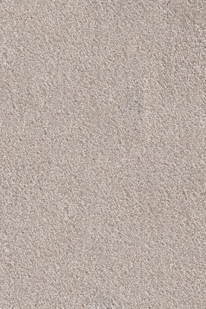 Ковровое покрытие AW Messalina 37 - (5м) в Дзержинске