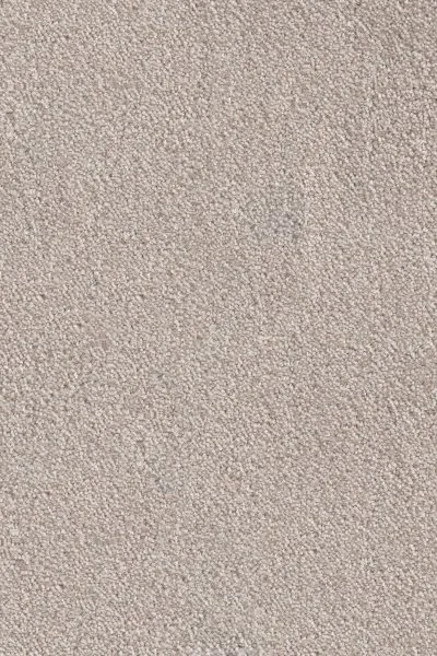 Ковровое покрытие AW Messalina 37 - (4м) в Дзержинске