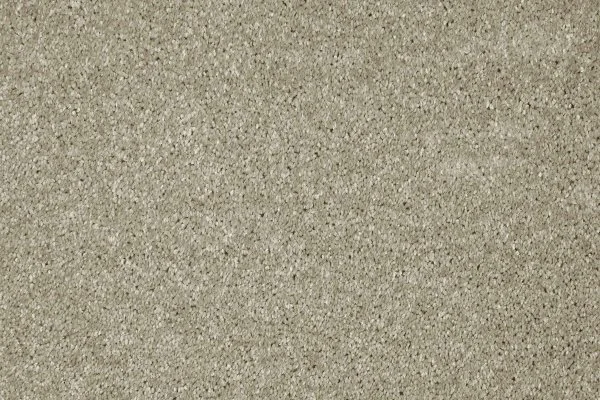 Ковровое покрытие AW Gala 03 - (4м) в Дзержинске