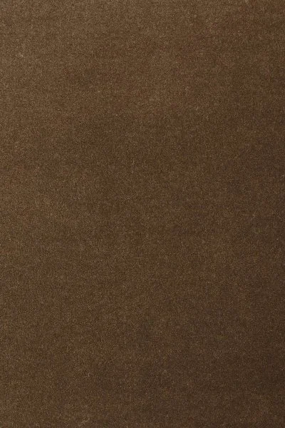 Ковровое покрытие AW Oinone 44 - (5м) в Дзержинске