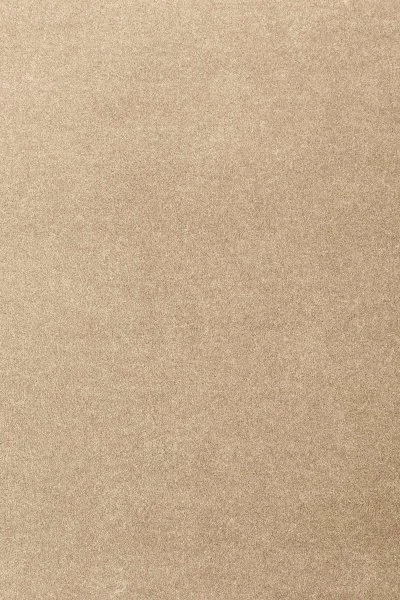 Ковровое покрытие AW Oinone 36 - (4м) в Дзержинске