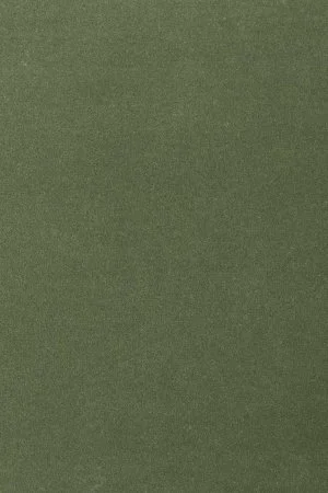 Ковровое покрытие AW Oinone 24 - (4м) в Дзержинске