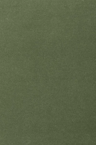 Ковровое покрытие AW Oinone 24 - (4м) в Дзержинске