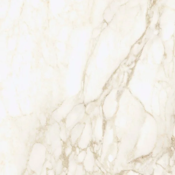 Керамогранит Coliseum Микеланджело Ворм 60х60 (Натуральный и Реттифицированный) в Дзержинске