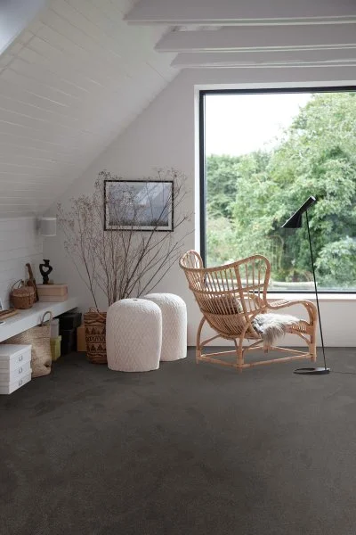 Ковровое покрытие AW Ganges 99 - (4м) в Дзержинске