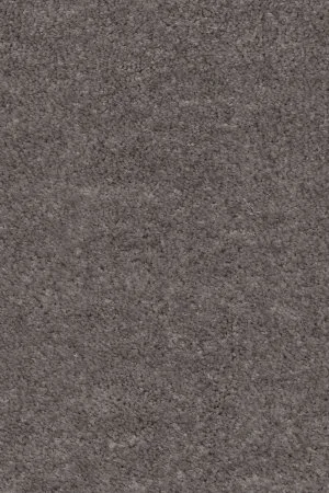 Ковровое покрытие AW Euphoria 45 - (4м) в Дзержинске