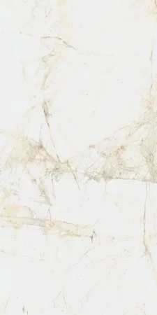 Керамогранит Coliseum Канова Уайт 60х120 (Натуральный и Реттифицированный) в Дзержинске