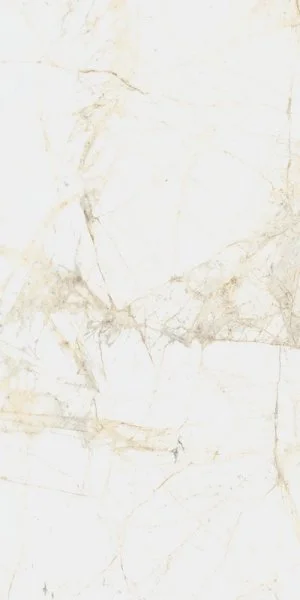 Керамогранит Coliseum Канова Уайт 60х120 (Натуральный и Реттифицированный) в Дзержинске