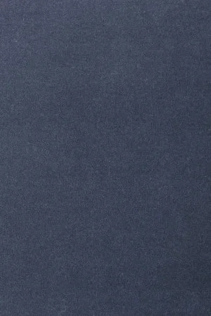 Ковровое покрытие AW Oinone 78 - (5м) в Дзержинске