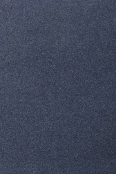 Ковровое покрытие AW Oinone 78 - (4м) в Дзержинске