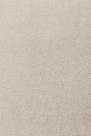 Ковровое покрытие AW Oinone 39 - (5м) в Дзержинске