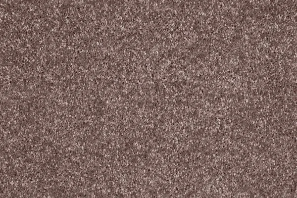 Ковровое покрытие AW Gala 60 - (5м) в Дзержинске