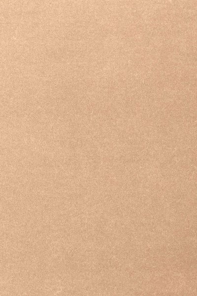 Ковровое покрытие AW Oinone 08 - (4м) в #REGION_NAME_DECLINE_PP#